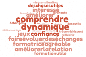 Bilan formation